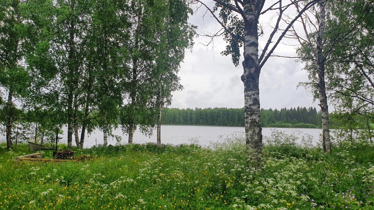 Viihtyisae Kolmio Jaerven Rannalla